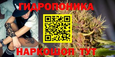 2c-b Вязьма