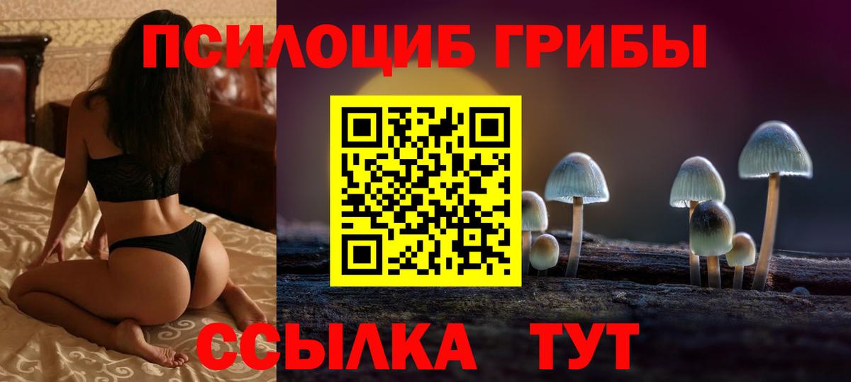 Галлюциногенные грибы Psilocybine cubensis  Вход с VPN  Новошахтинск  Псилоцибиновые грибы GOLDEN TEACHER 